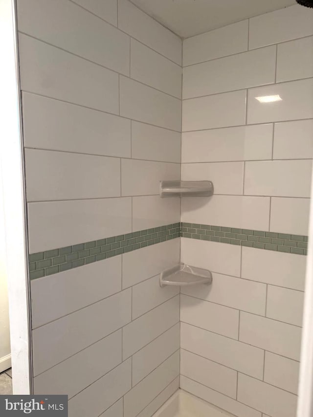 125 Rodney Dr, New Castle, DE 19720 - bathroom with tiled shower