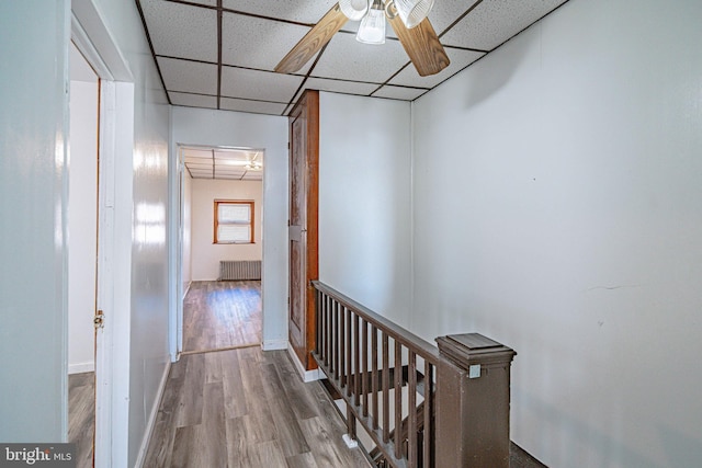 hallway with a paneled ceiling, hardwood / wood-style flooring, and radiator