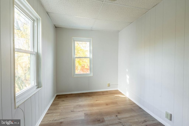 spare room with a drop ceiling and light hardwood / wood-style flooring