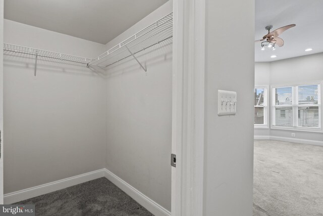 spacious closet featuring carpet floors and ceiling fan