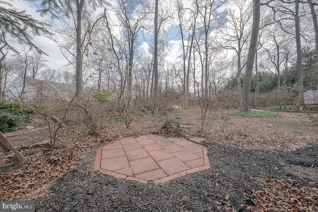 view of yard with a patio