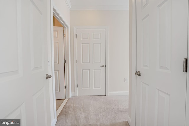 hall with light colored carpet and ornamental molding