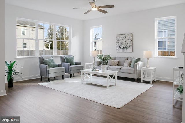 living room with ceiling fan and dark hardwood / wood-style flooring