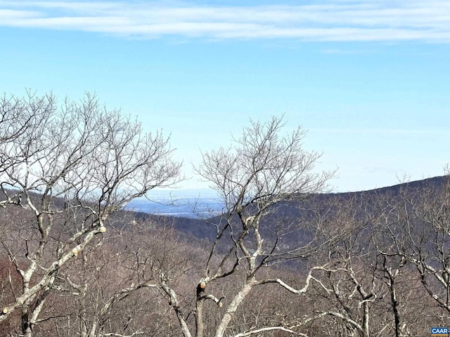 82 Pedlars Edge Dr, Wintergreen Resort, VA 22967