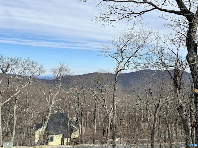 82 Pedlars Edge Dr, Wintergreen Resort, VA 22967