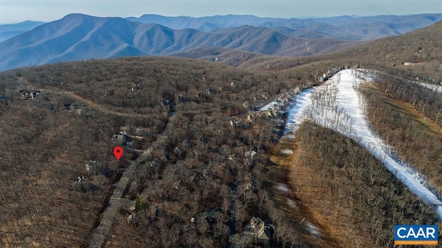 82 Pedlars Edge Dr, Wintergreen Resort, VA 22967