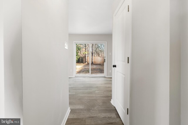 hallway with wood-type flooring