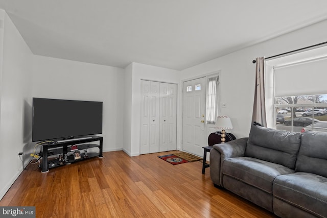 living room with wood-type flooring