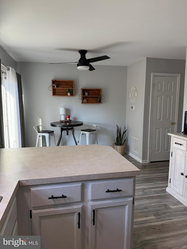 kitchen featuring white cabinetry, ceiling fan, and dark wood-type flooring