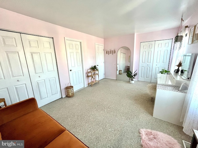 interior space featuring multiple closets