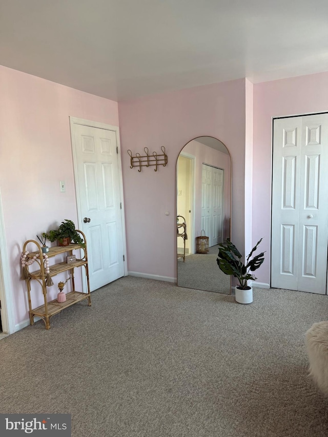 interior space featuring multiple closets