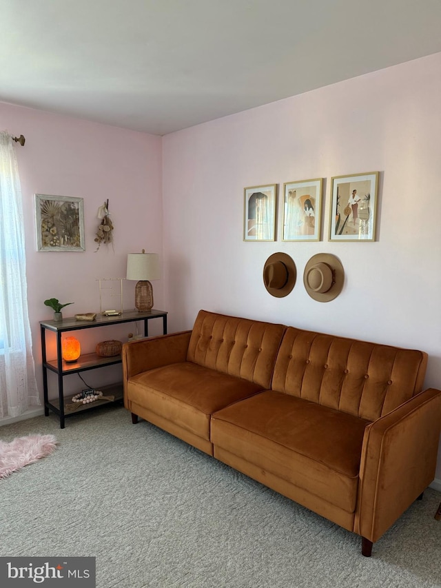 living room with carpet floors