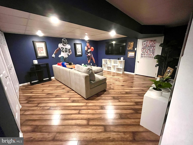 living room featuring wood-type flooring