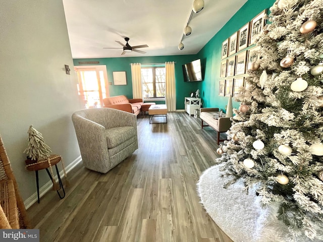 living area with ceiling fan, hardwood / wood-style floors, and rail lighting