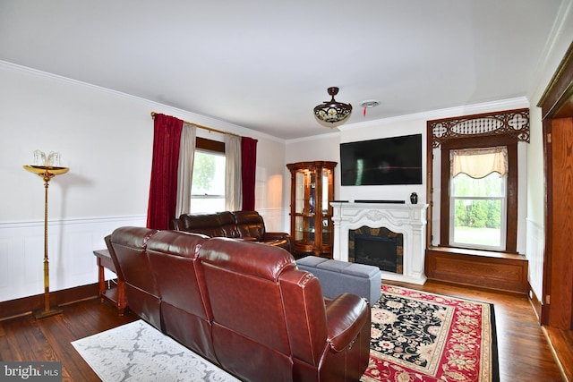 living room with dark hardwood / wood-style floors and ornamental molding