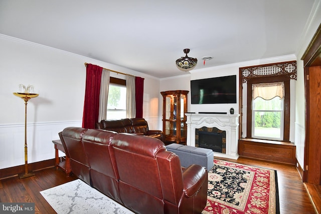 115 S Summit Ave, Woodstock, VA 22664 - living room with ornamental molding, a fireplace with raised hearth, dark wood finished floors, and wainscoting