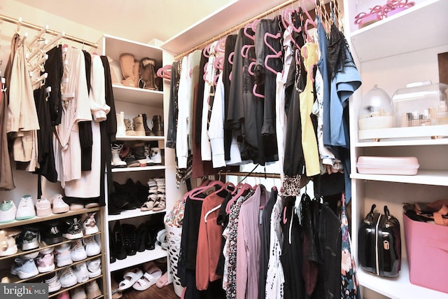 115 S Summit Ave, Woodstock, VA 22664 - view of spacious closet