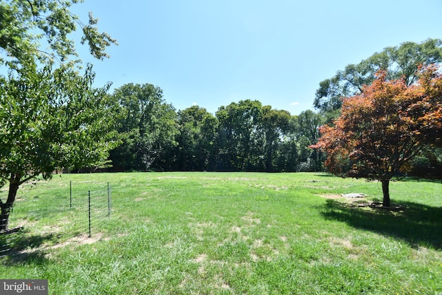 view of yard with a rural view