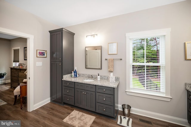 bathroom featuring hardwood / wood-style floors and vanity