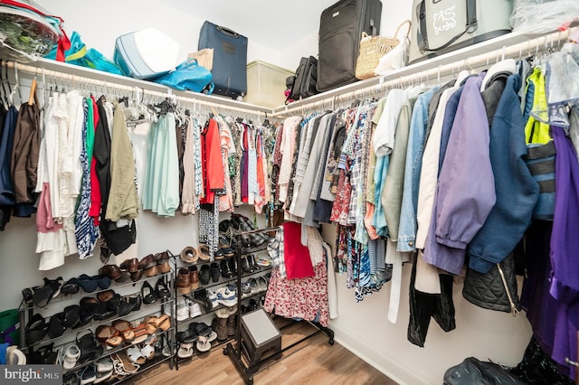 walk in closet featuring wood-type flooring