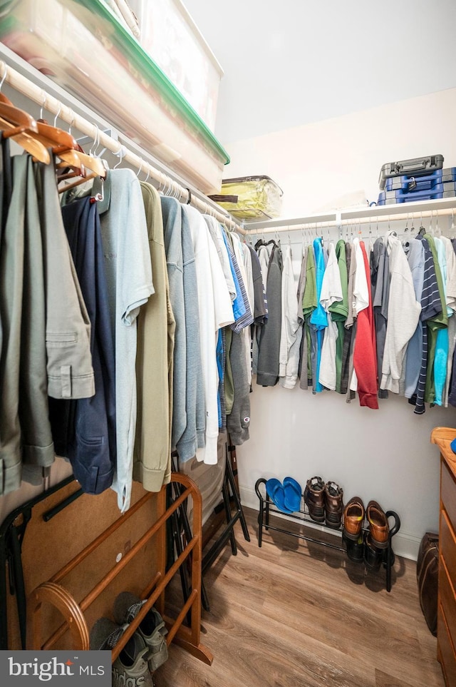 spacious closet featuring hardwood / wood-style flooring