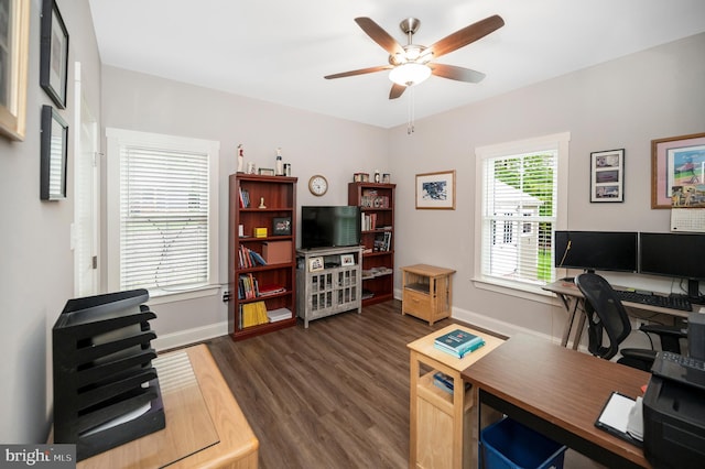 office space with ceiling fan and dark hardwood / wood-style flooring