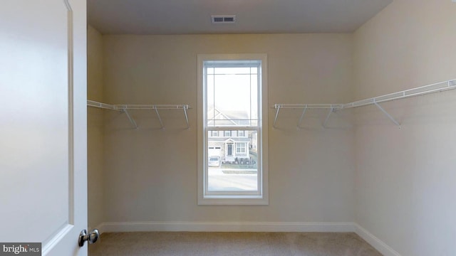 spacious closet with carpet floors