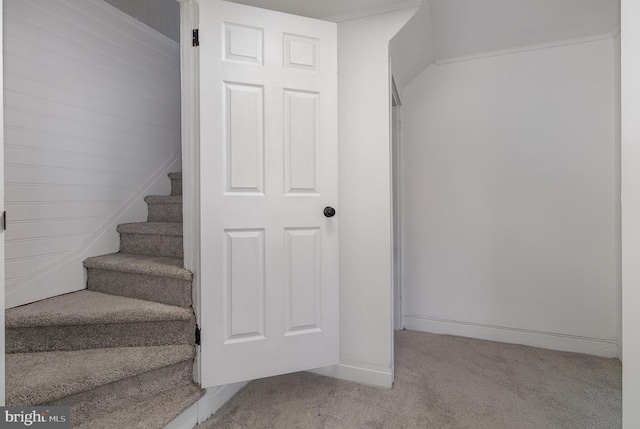 staircase with carpet floors