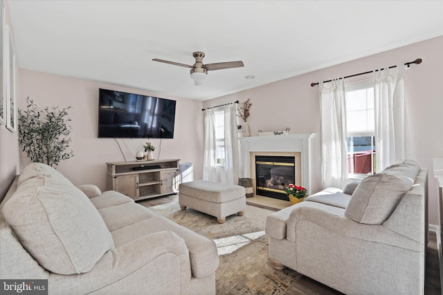 living room featuring ceiling fan and wood-type flooring