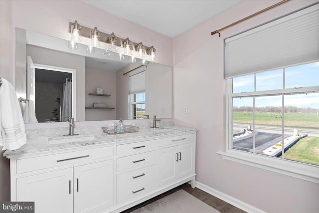 bathroom with hardwood / wood-style flooring, vanity, and a healthy amount of sunlight