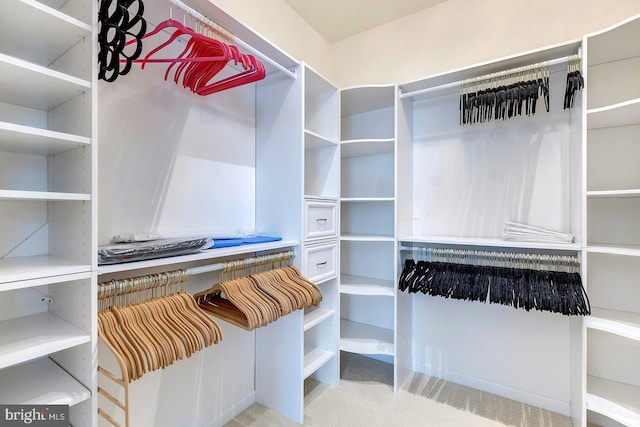 spacious closet with light carpet