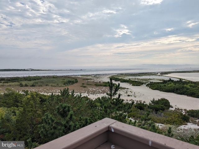 water view featuring a view of the beach