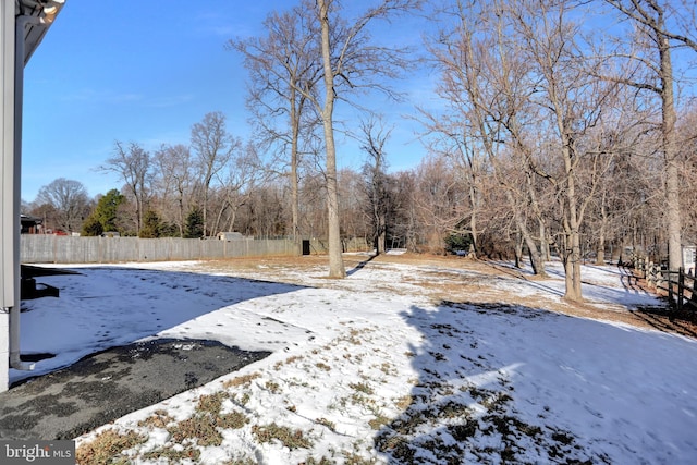 view of yard covered in snow