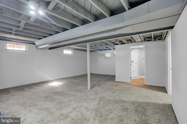 basement with carpet flooring