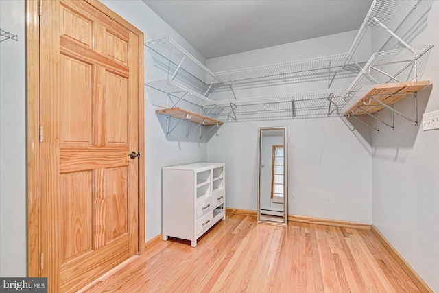 walk in closet featuring light hardwood / wood-style flooring