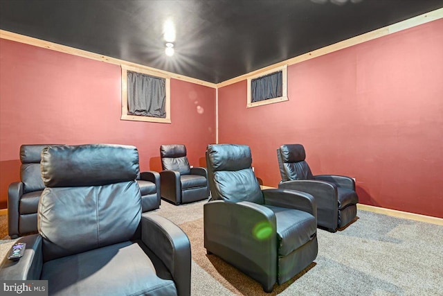 home theater room with carpet