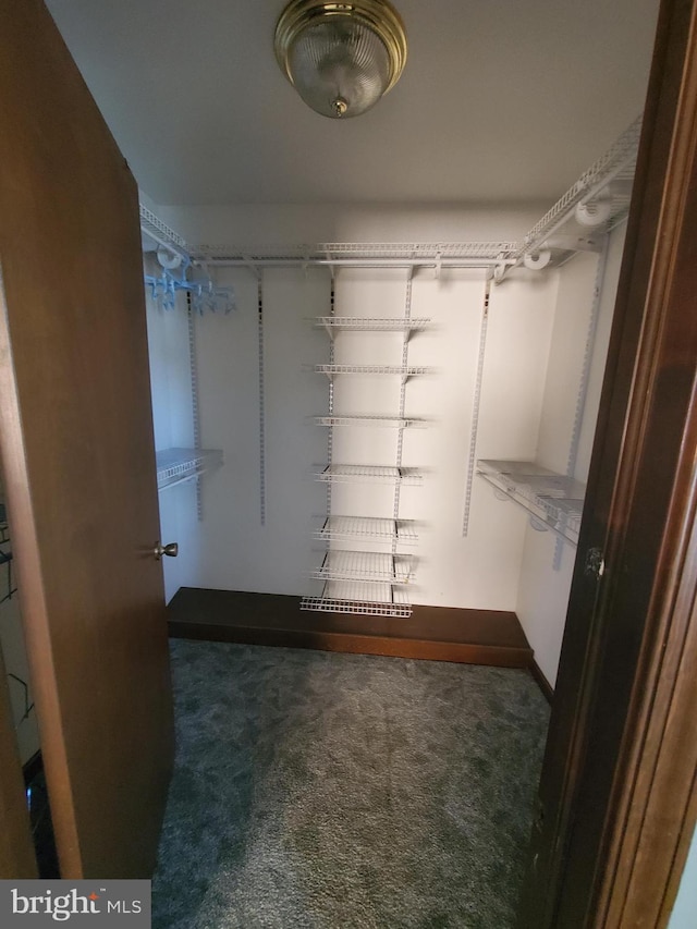 spacious closet featuring dark carpet