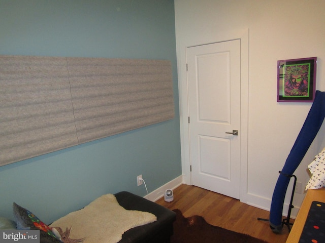 bedroom featuring hardwood / wood-style floors