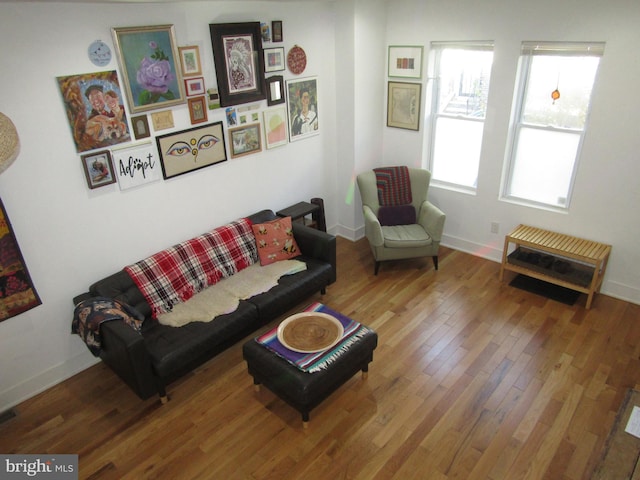 living room featuring hardwood / wood-style floors