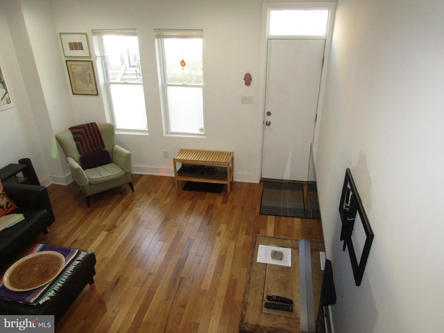 foyer with hardwood / wood-style floors