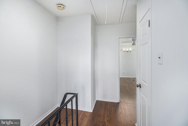 hall featuring dark hardwood / wood-style floors