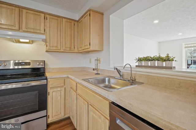 kitchen with appliances with stainless steel finishes, light brown cabinets, dark hardwood / wood-style flooring, and sink