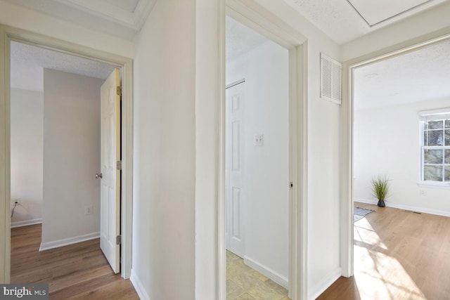 corridor with light wood-type flooring and a textured ceiling