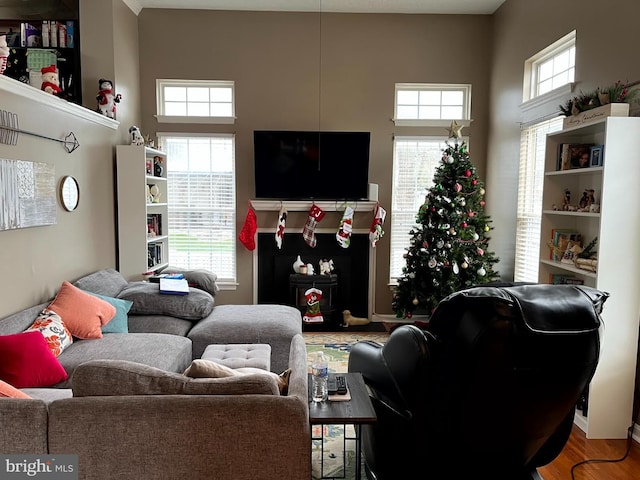 living area featuring wood finished floors