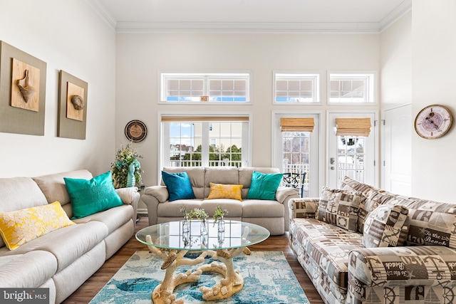 living room featuring a high ceiling, dark hardwood / wood-style floors, and ornamental molding