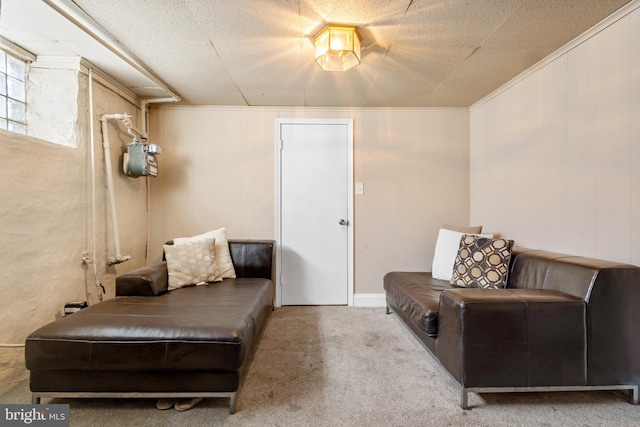 living area featuring light colored carpet