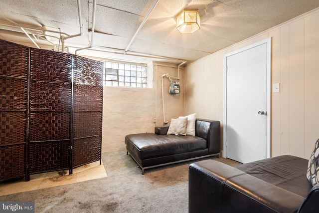 living area featuring carpet flooring