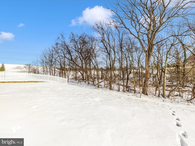 view of yard covered in snow