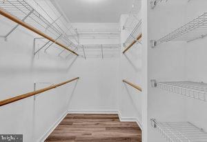 walk in closet featuring wood-type flooring