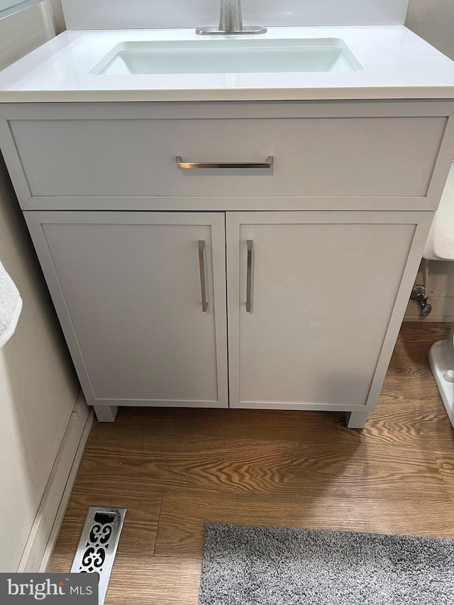 details featuring hardwood / wood-style flooring and sink